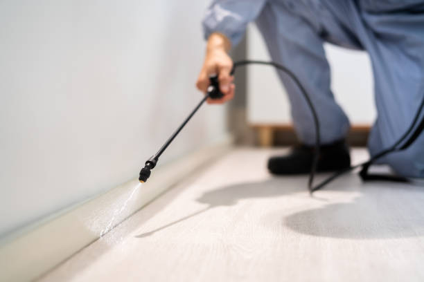 Bed Bug Pre-Treatment Preparation Assessment in Level Green