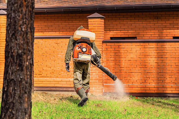 Bed Bug Clearance Verification and Documentation in Level Green
